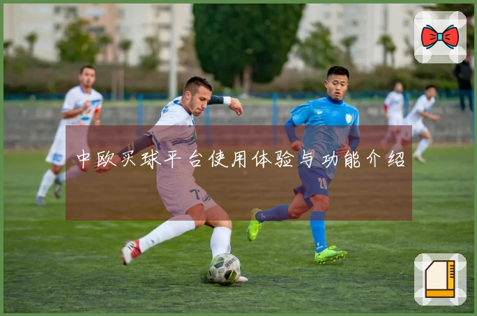 中欧买球平台使用体验与功能介绍