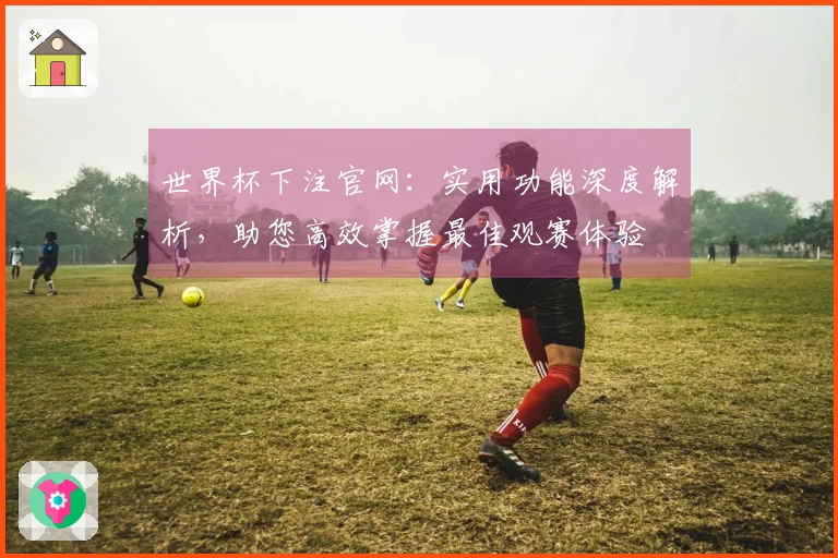 世界杯下注官网：实用功能深度解析，助您高效掌握最佳观赛体验
