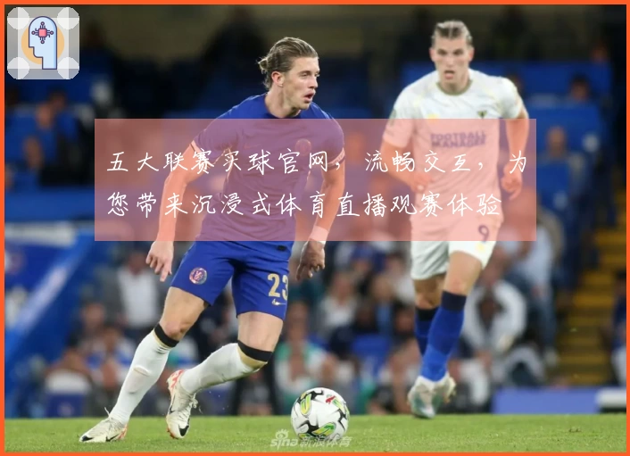 五大联赛买球官网，流畅交互，为您带来沉浸式体育直播观赛体验