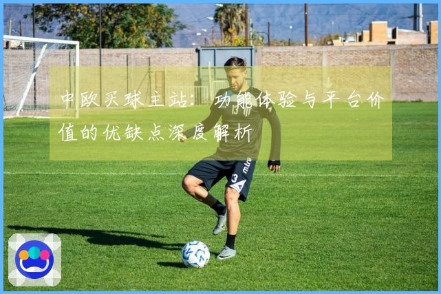 中欧买球主站：功能体验与平台价值的优缺点深度解析