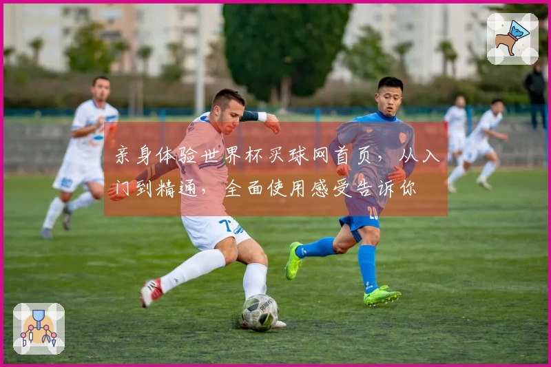 亲身体验世界杯买球网首页，从入门到精通，全面使用感受告诉你